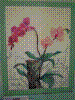 flower show2004 114.jpg